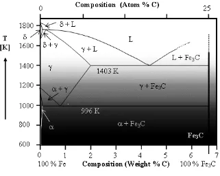 Gambar 5. Diagram Fase Fe-Fe 3 C (Structure Micro.Co.Id, 2007)