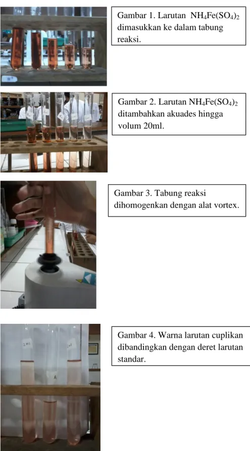 Gambar 1. Larutan  NH 4 Fe(SO 4 ) 2 