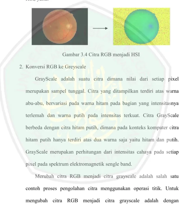 Gambar 3.4 Citra RGB menjadi HSI  2.  Konversi RGB ke Greyscale 