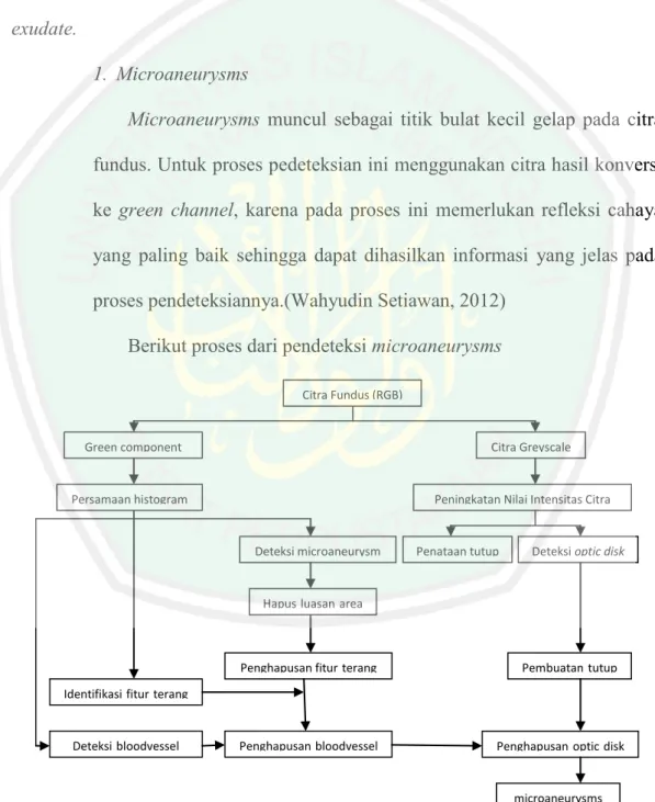 Gambar 3.5 Skema pendeteksi microaneurysms 