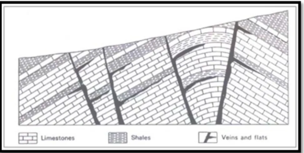 Gambar 1.5. Memperlihatkan tubuh bijih diskordan, yang dikontrol oleh  stratigrafi dan struktur geologi (dari Evans, 1993).