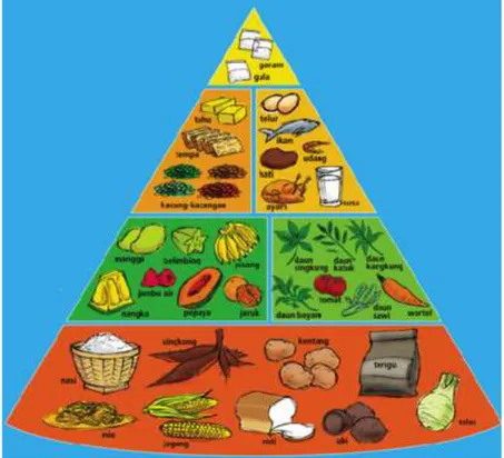 Gambar 1. Piramida Makanan 