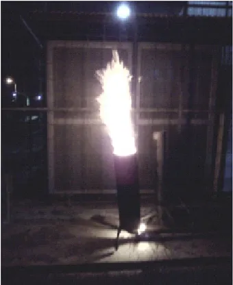 Gambar 3a. Nyala api sebelum uap air difungsikan