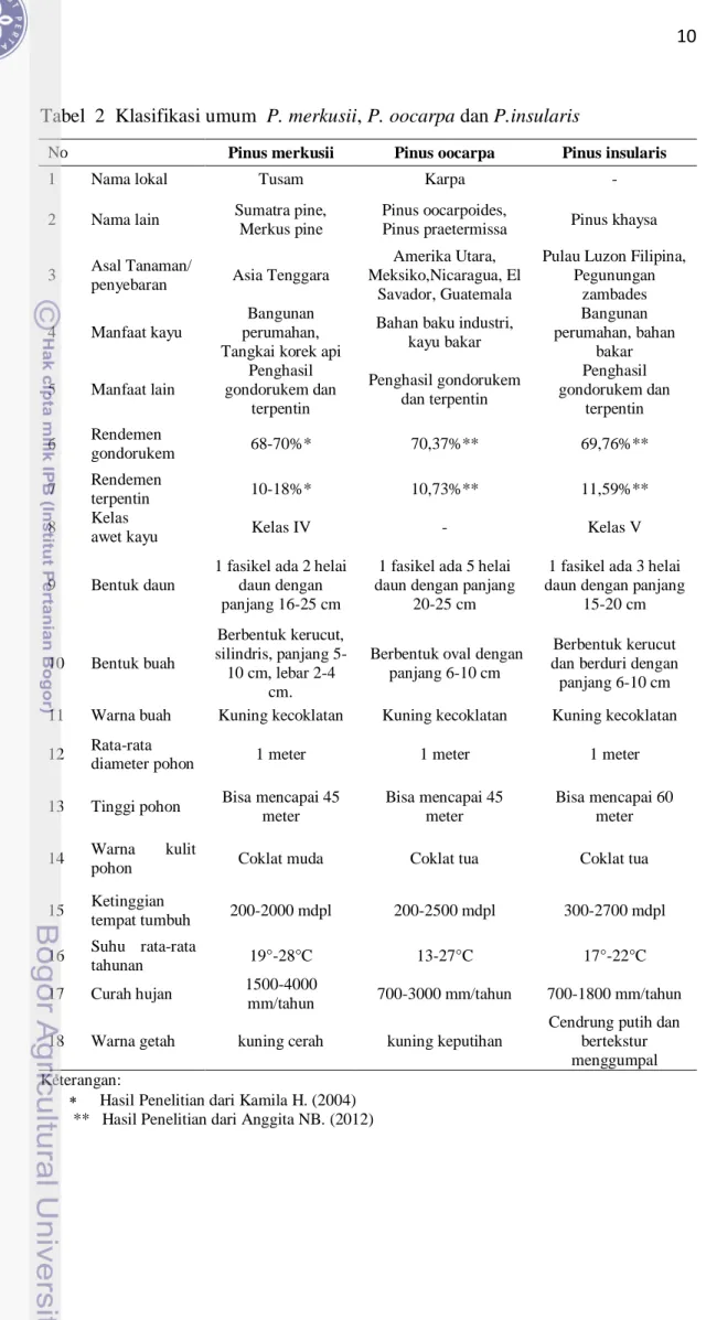 Tabel  2  Klasifikasi umum  P. merkusii, P. oocarpa dan P.insularis 