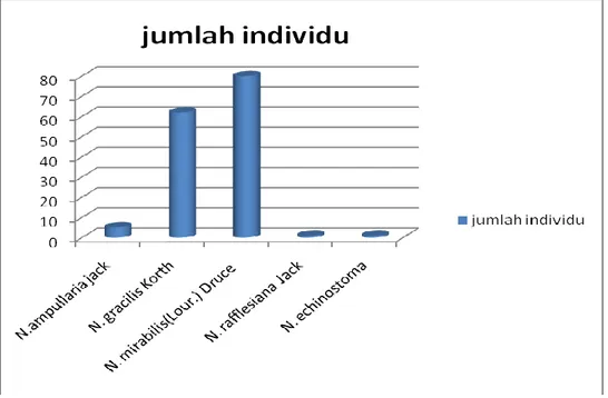 Gambar 2. Jumlah individu Nepenthes spp yang ditemukan ( Nepenthes spp  number   of individuals found )