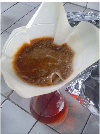 Gambar 3.5 Sampel Biji Asam Jawa Diaktivasi dengan Asam Nitrat (HNO3) 4 N 