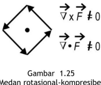 Gambar  1.25    Medan rotasional-kompresibel 