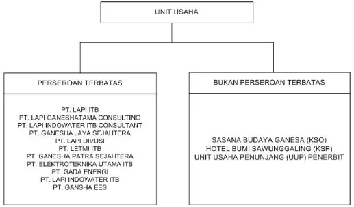 Gambar 1. Struktur Badan Usaha di Lingkungan BPUDL ITB
