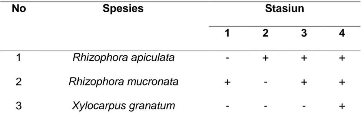 Tabel 1. Spesies Mangrove yang ditemukan di lokasi pengamatan 