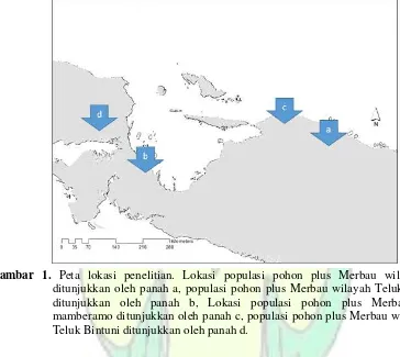 Gambar 1.  Peta lokasi penelitian. Lokasi populasi pohon plus Merbau wilayah sarmi 
