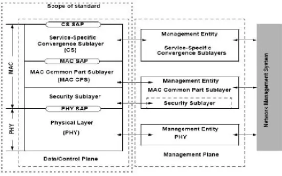 Gambar 2.3 Layer Protokol IEEE 802.16-2004