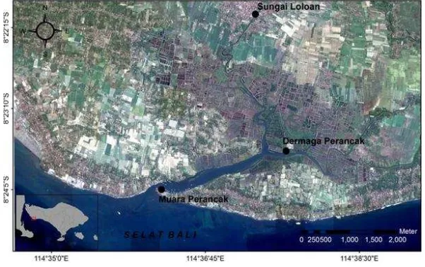 Gambar 1. Peta lokasi penelitian di Kawasan Estuari Perancak 