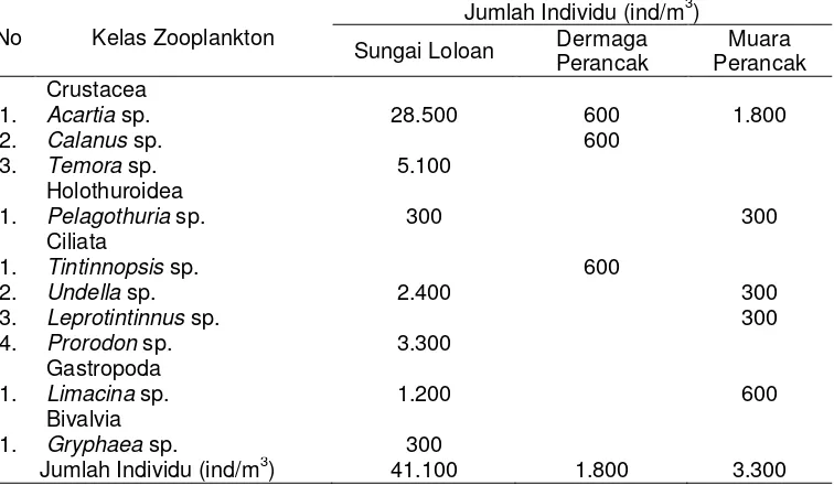Tabel 3. Kelimpahan zooplankton di kawasan Estuari Perancak. 