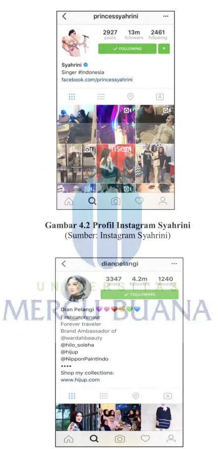 Gambar 4.2 Profil Instagram Syahrini  (Sumber: Instagram Syahrini) 