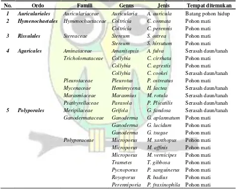 Tabel 1. Jenis Basidiomycetes yang ditemukan dikawasan hutan lindung KPHP Sorong Selatan 