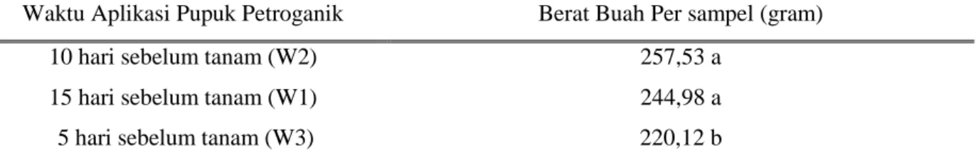 Tabel 9. Berat buah per sampel yang dipengaruhi oleh waktu aplikasi pupuk Petroganik. 
