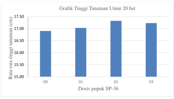 Gambar 2 : Grafik Tinggi Tanaman umur 20 hst perlakuan Dosis pupuk SP-36 