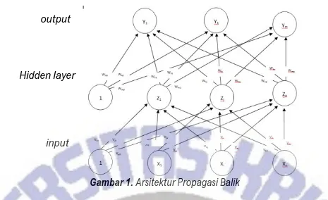 Gambar 1. Arsitektur Propagasi Balik