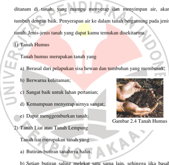 Gambar 2.4 Tanah Humus 