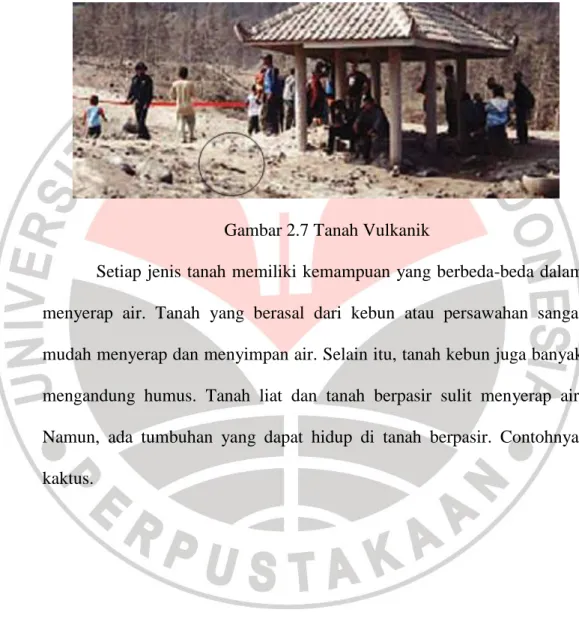 Gambar 2.7 Tanah Vulkanik 