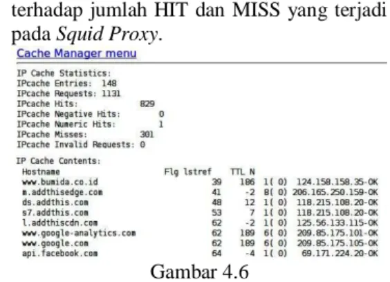 Gambar 4.1  Hasil Pengecekan Squid 