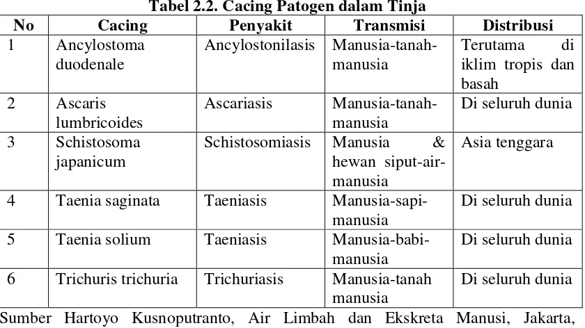 Tabel 2.1. Protozoa dalam Tinja 