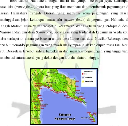 Gambar 1.  Peta Wilayah Kabupaten Halmaherah Tengah Penemuan trance Fossile