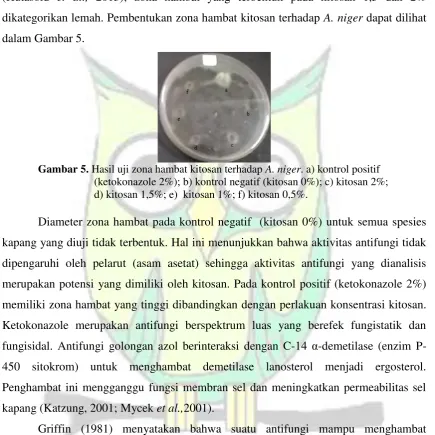 Gambar 5.  Hasil uji zona hambat kitosan terhadap A. niger. a) kontrol positif 