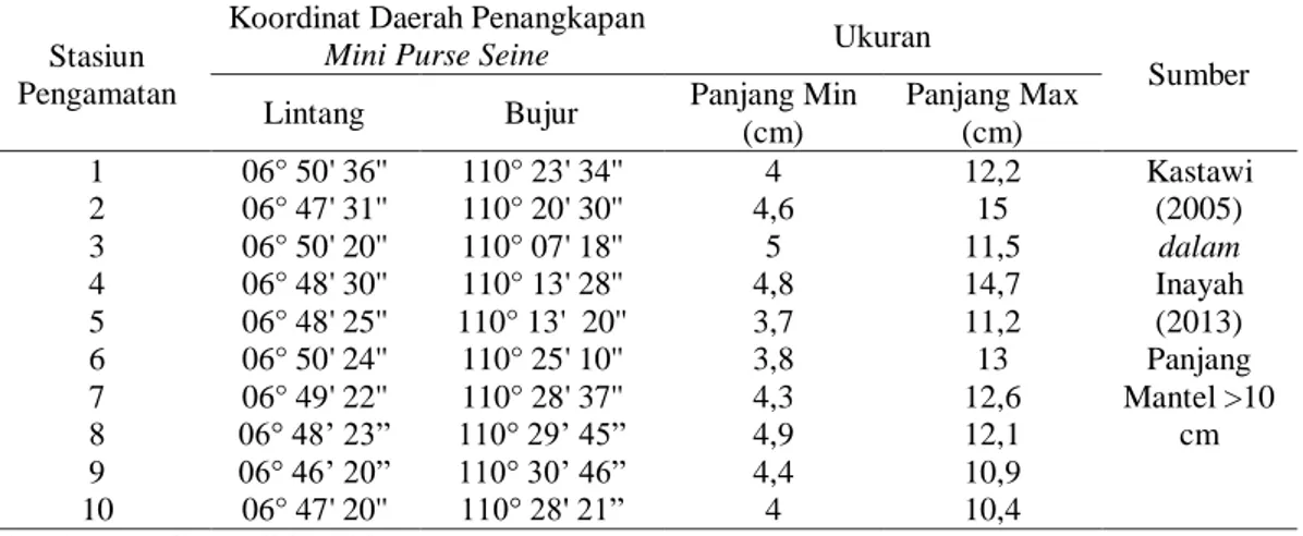 Tabel 5. Ukuran Panjang Maksimal dan Minimal Cumi-cumi  Stasiun 