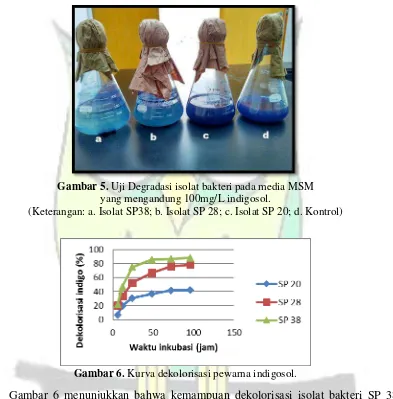 Gambar 5.  Uji Degradasi isolat bakteri pada media MSM 
