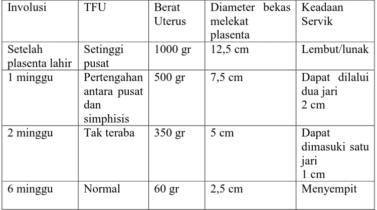 Tabel 2.1 perubahan uterus setelah melahirkan 