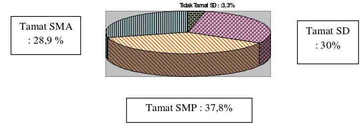 Gambar 4.1 Distribusi Responden menurut Kelompok Umur (tahun) 