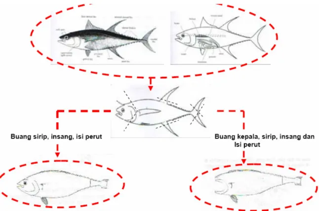 Gambar 17. Diagram penyiangan ikan 