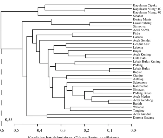 Gambar 1. Dendrogram pengelompokan 33 aksesi rambutan (Dendrogram clustering of 33 accessions of 