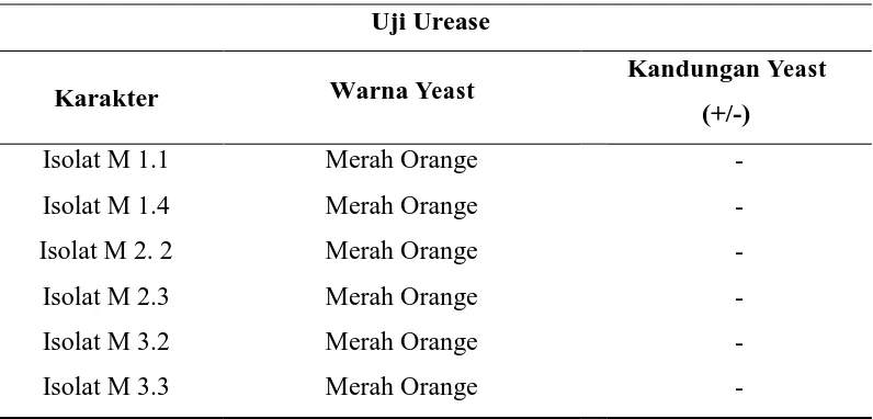 Tabel 6. Analisis Uji Urease menggunakan Metode Urea Broth