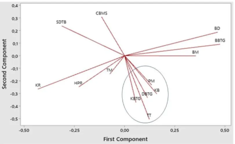 Gambar 2.Analisis PCA terhadap beberapa karakter varietas padi.  Karakter dalam  lingkaran  :  Kekuatan  Batang  (KBTG)  berkorelasi  dengan  Tinggi  Tanaman  (TT),  Diameter  Batang  (DBTG),  Ketegaran  Batang  (KB),  dan Panjang Malai (PM)