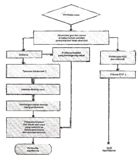 Gambar 2.4 Patofisiologi Ileus Obstruktif  (Sumber : Simatupang, 2010) Strangulasi
