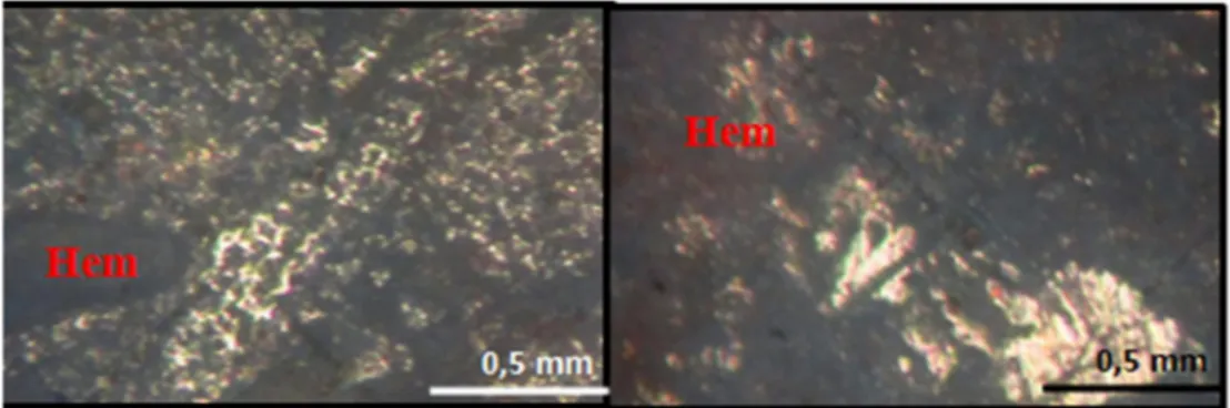 Gambar 14. Kenampakan mineral hematit pada mineragrafi (a) sampel C/RS/15A; (b) sampel A/RS/15