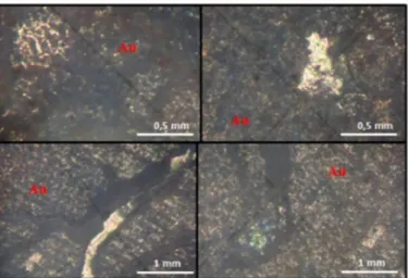 Gambar 15. Kenampakan mineral emas pada mineragrafi (a) sampel D/RS/16; (b) sampel D/RS/21;  (c) sampel D/RS/14A; (d) sampel B/RS/05