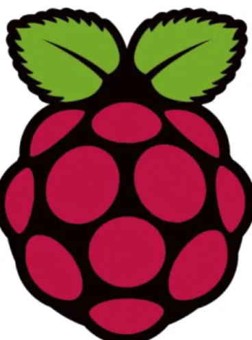 Gambar 2.1 Lambang Raspberry Pi
