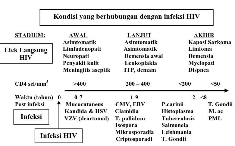 Gambar. 2. Skema kondisi yang berhubungan dengan infeksi HIV. 29 