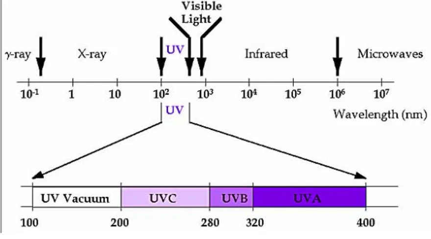 Gambar 1. Susunan spektrum sinar UV 