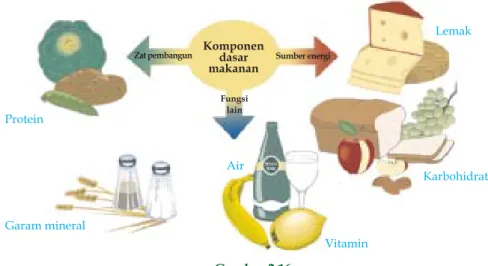 Gambar 2.16ProteinGaram mineralAir Vitamin KarbohidratLemak