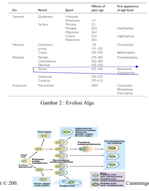 Gambar 3 : Proses Evolusi Algae