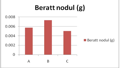 Grafik 2. Berat nodul