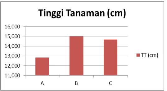 Grafik 6. Jumlah daun (helai)