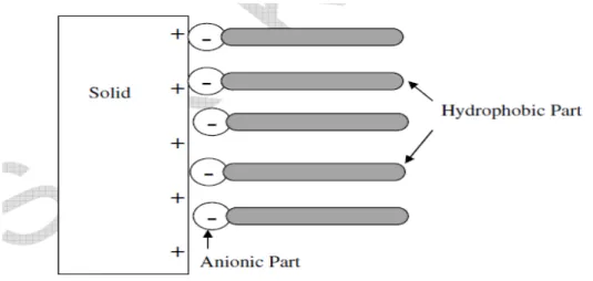 Gambar 4. Adsorpsi kolektor anionik ke permukaan padat. 