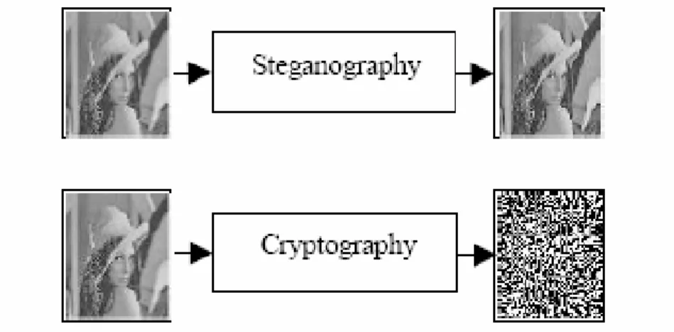 Gambar 2.4  Perbedaan Steganografi dengan Kriptografi 