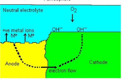 Gambar 2.3 Reaksi elektrokimia pada logam 
