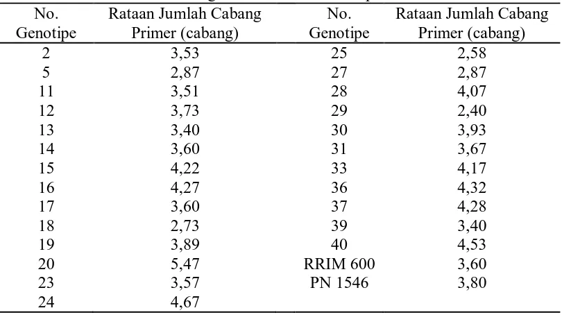 Tabel 3. Rataan Jumlah Cabang Primer dari 25 Genotipe dan Tetua No. Rataan Jumlah Cabang No